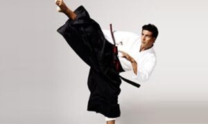 Akshay Kumar Martial Arts