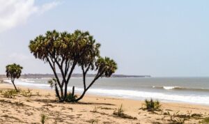 Diu, Daman & Diu – Portuguese Vibes