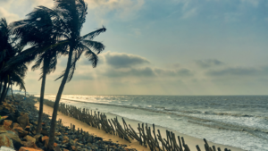 Mandarmani, West Bengal – Eastern Coast Luxury